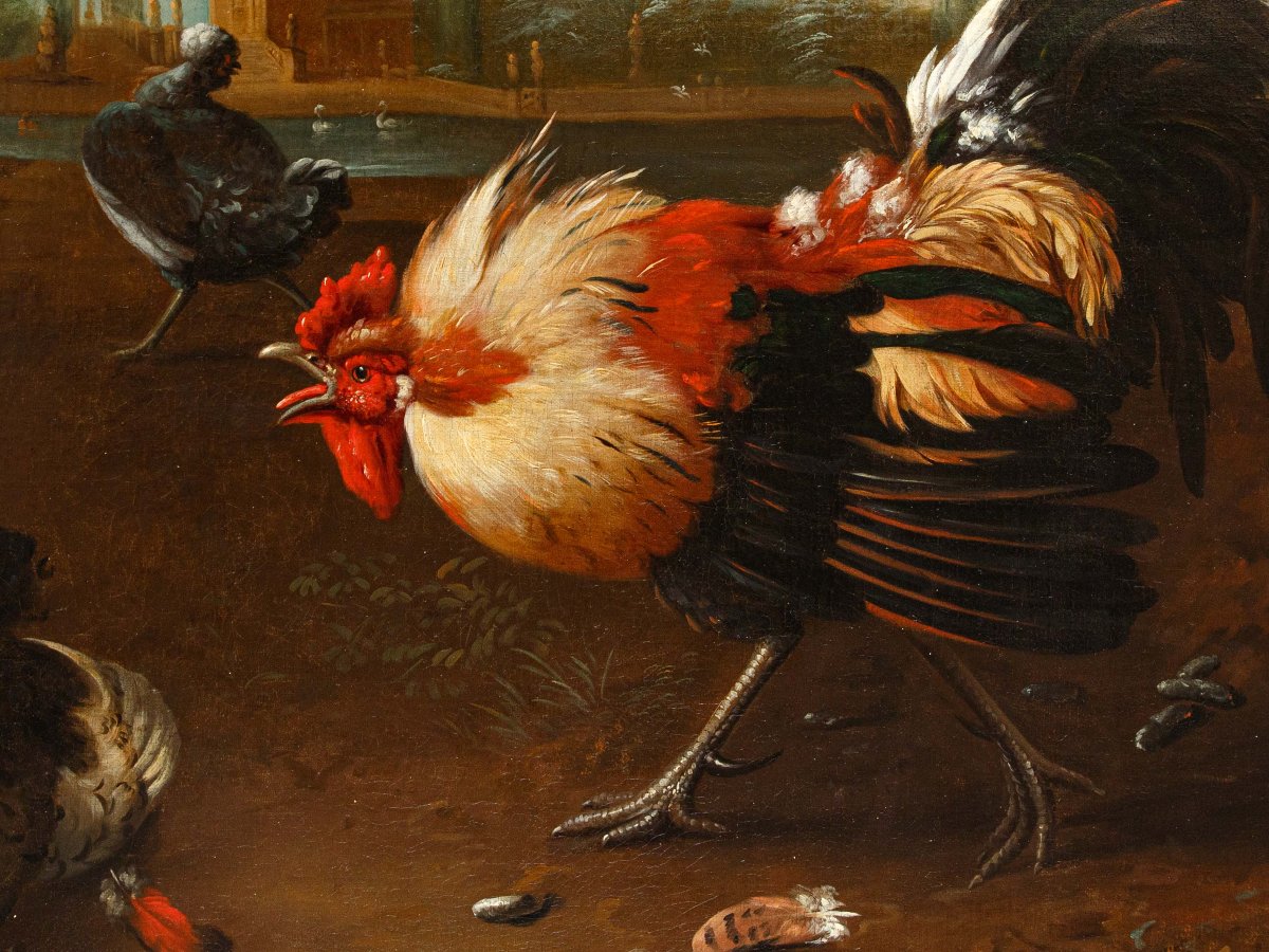 Seguace di Melchior de Hondecoeter (1636 – 1695), XVIII secolo, Un gallo difende una gallina-photo-4
