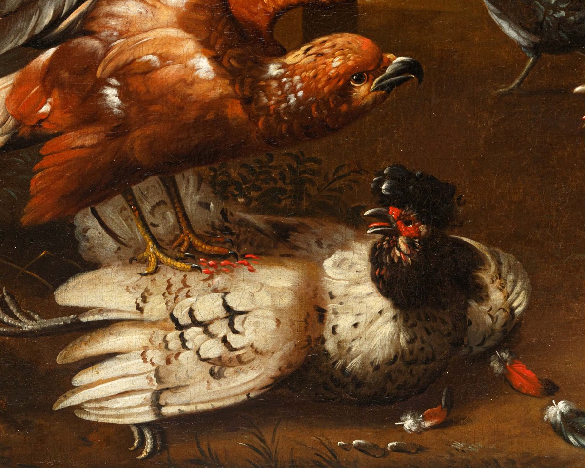 Seguace di Melchior de Hondecoeter (1636 – 1695), XVIII secolo, Un gallo difende una gallina-photo-7
