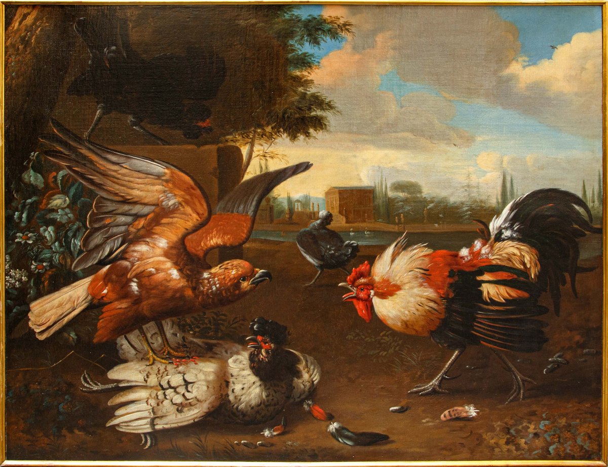Seguace di Melchior de Hondecoeter (1636 – 1695), XVIII secolo, Un gallo difende una gallina
