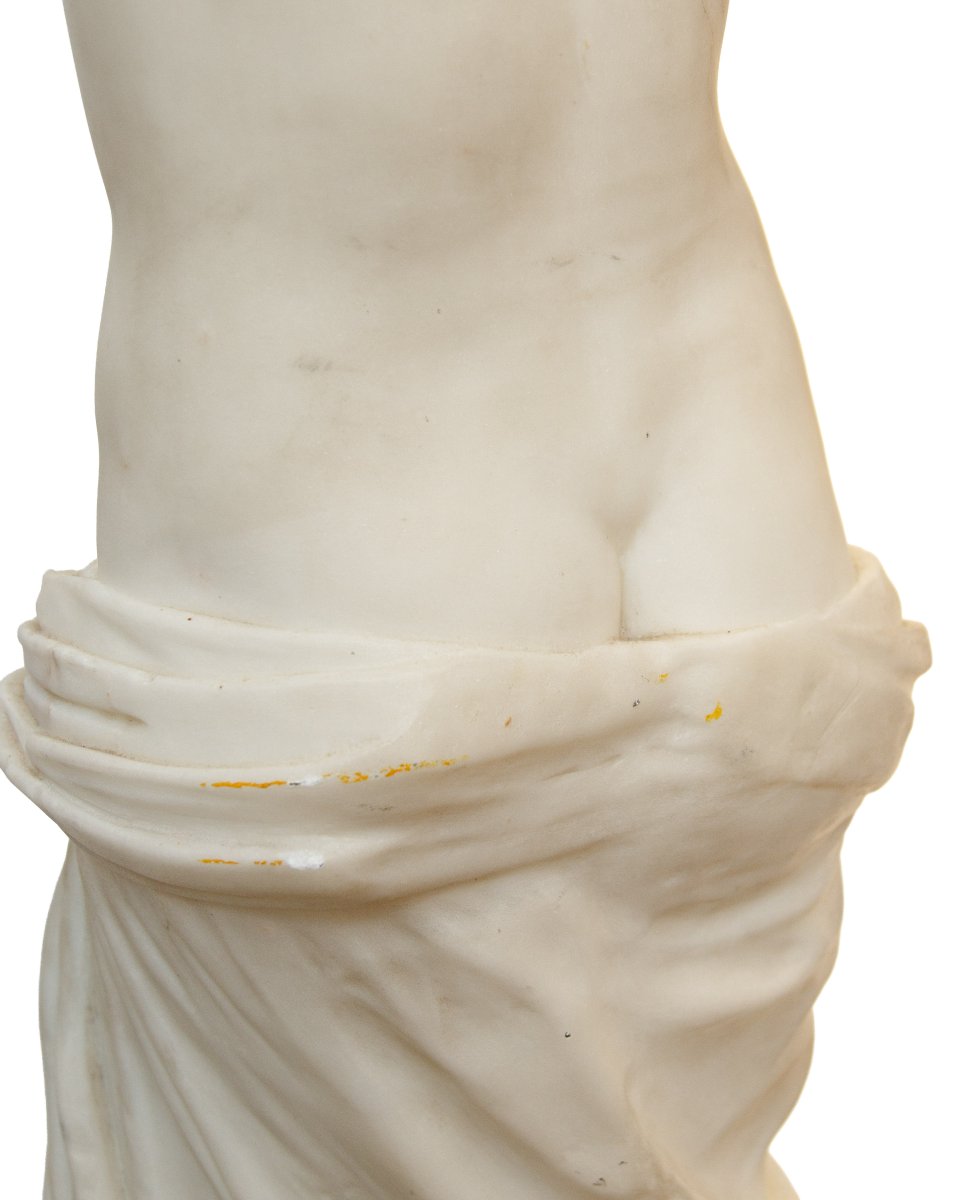 XIX secolo, Venere di Milo-photo-4
