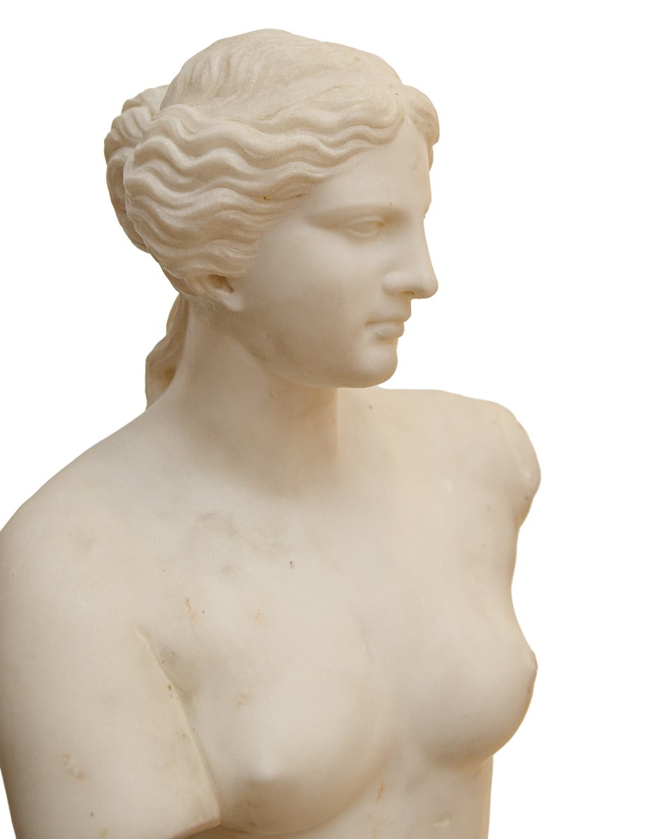 XIX secolo, Venere di Milo-photo-2