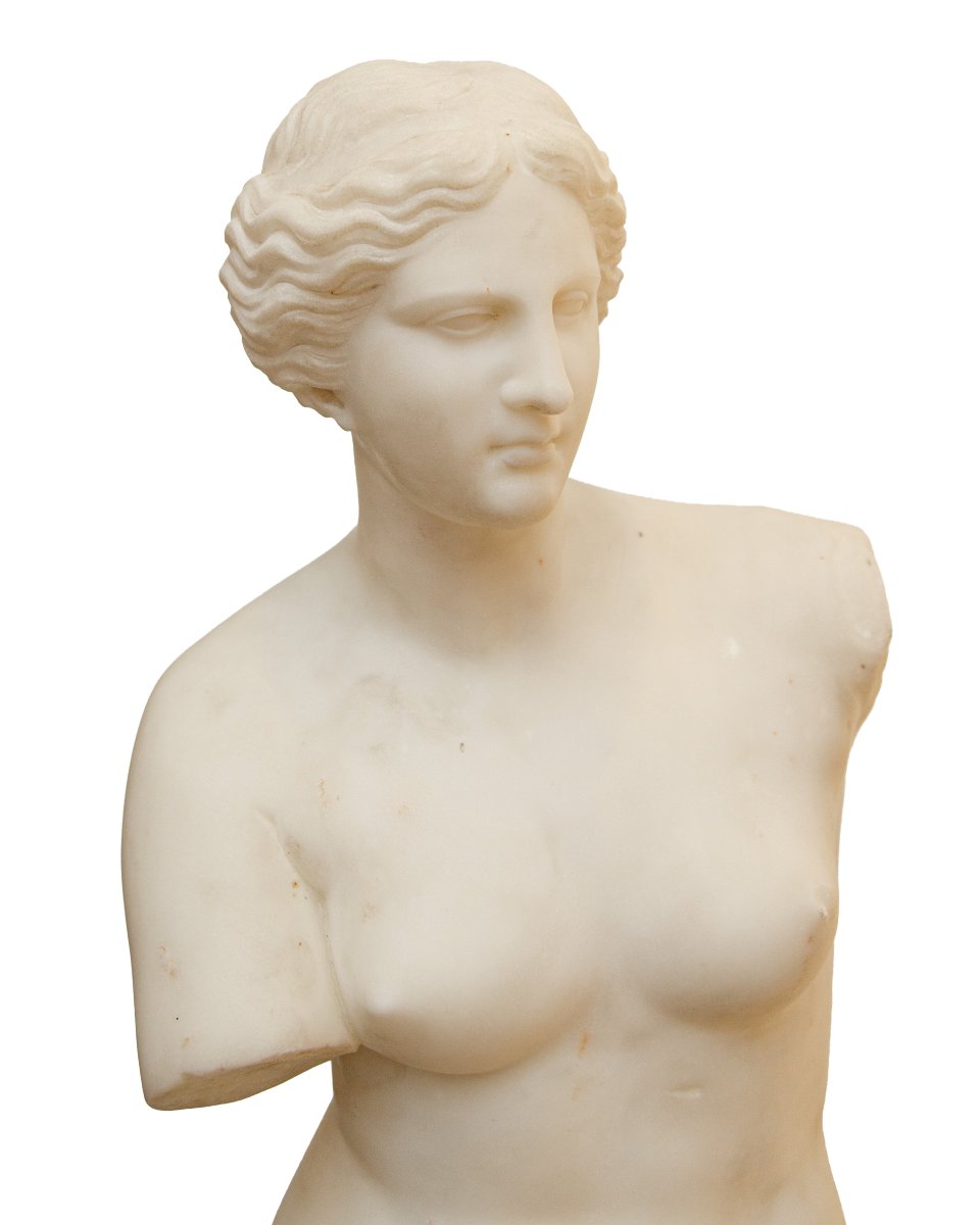 XIX secolo, Venere di Milo-photo-3