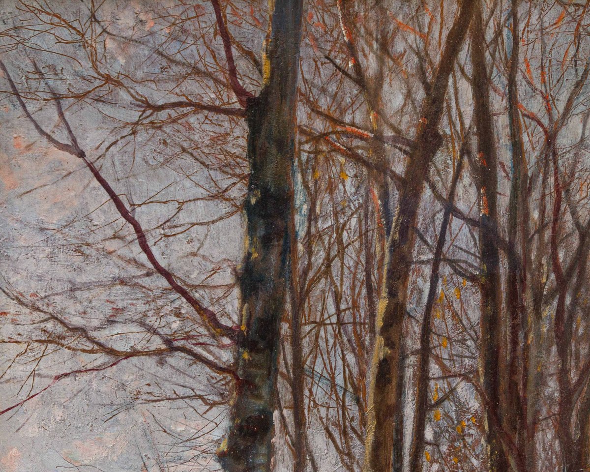 Licinio Barzanti (Forlì, 29 ottobre 1857 – Como, 4 dicembre 1944), Paesaggio innevato-photo-4