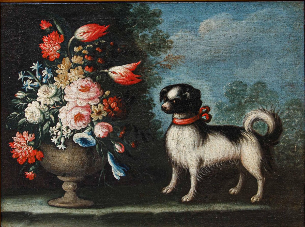 Angelo Zani, noto anche come “Monogrammista A.V.” ( XVIII secolo), Vaso di fiori con cane-photo-2