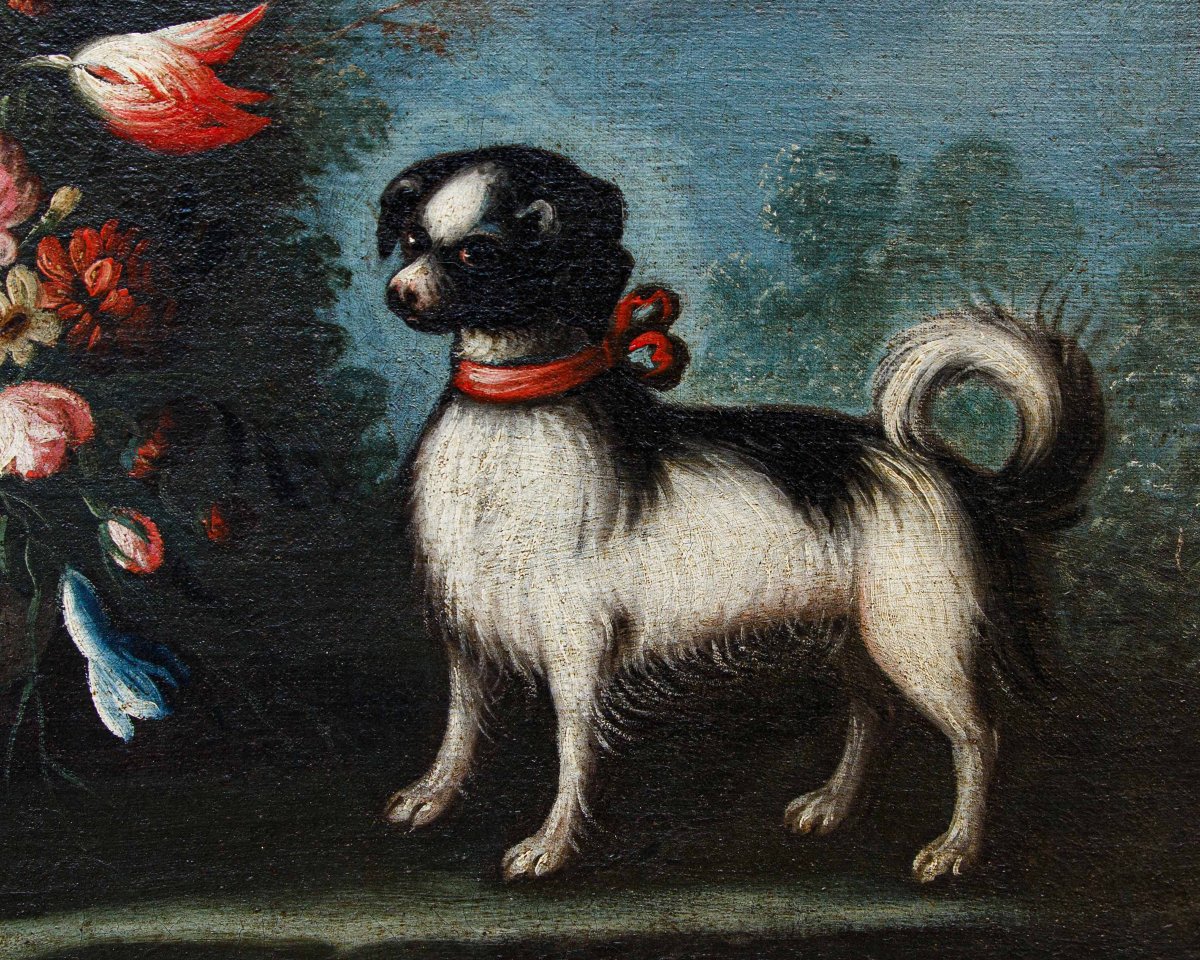 Angelo Zani, noto anche come “Monogrammista A.V.” ( XVIII secolo), Vaso di fiori con cane-photo-1