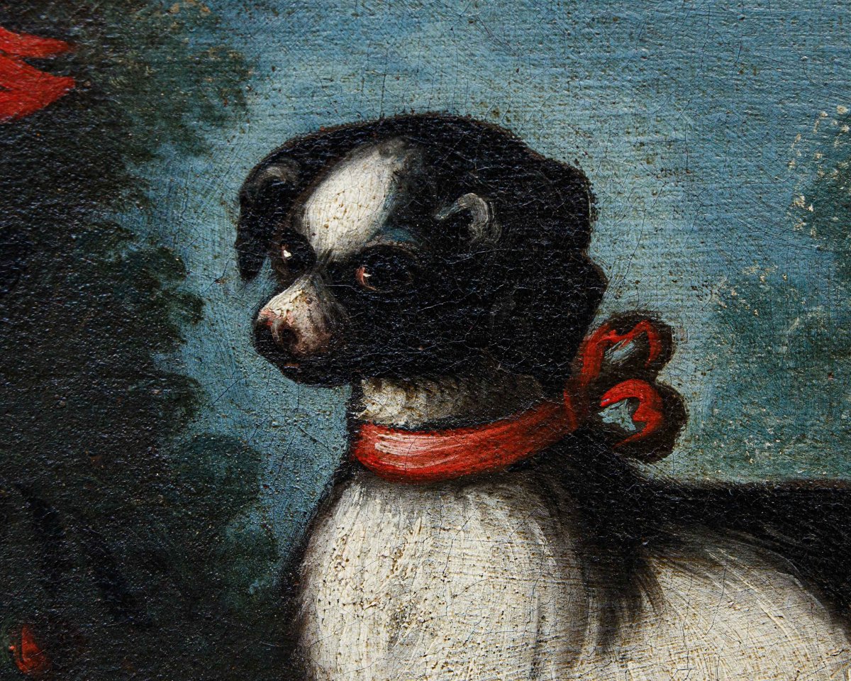 Angelo Zani, noto anche come “Monogrammista A.V.” ( XVIII secolo), Vaso di fiori con cane-photo-4
