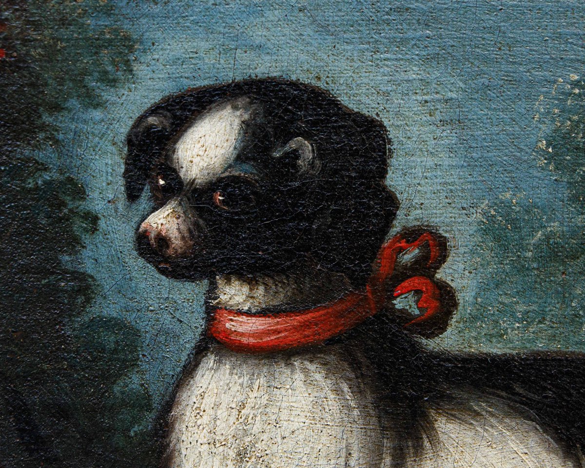 Angelo Zani, noto anche come “Monogrammista A.V.” ( XVIII secolo), Vaso di fiori con cane-photo-6