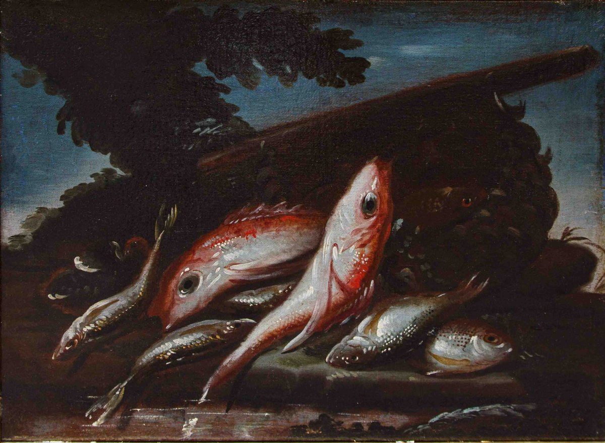 Elena Recco (Fine del XVII e l'inizio del XVIII secolo), Natura morte di pesci-photo-2