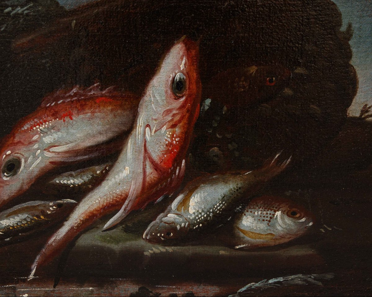 Elena Recco (Fine del XVII e l'inizio del XVIII secolo), Natura morte di pesci-photo-1