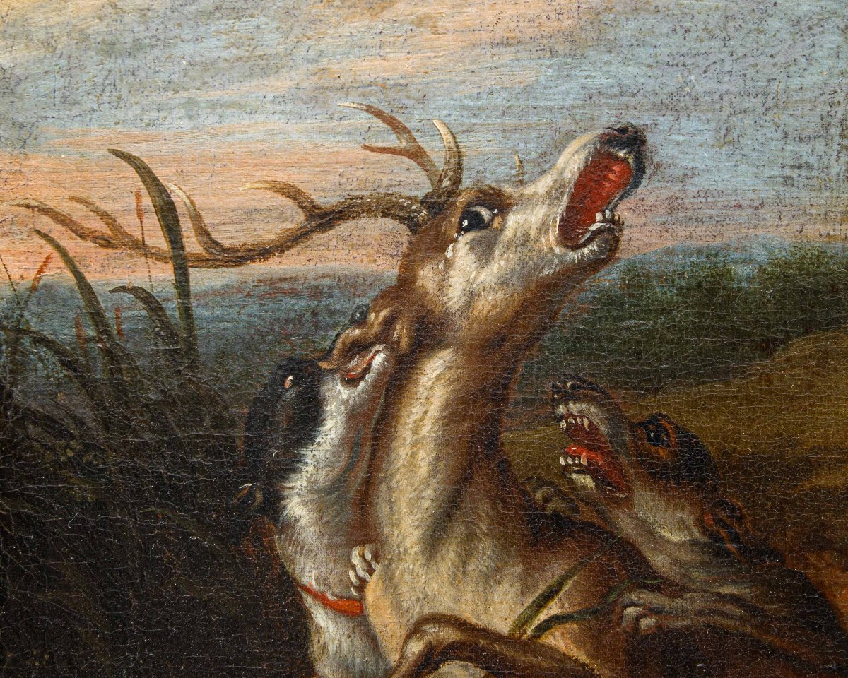 Seguace di Paul de Vos (Hulst, 1592 – Anversa, 30 giugno 1678), Caccia al cervo-photo-6