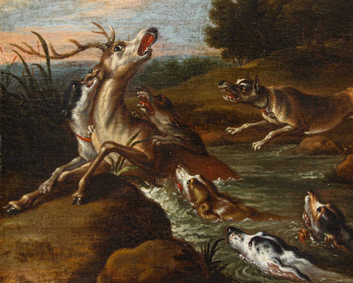 Seguace di Paul de Vos (Hulst, 1592 – Anversa, 30 giugno 1678), Caccia al cervo-photo-7