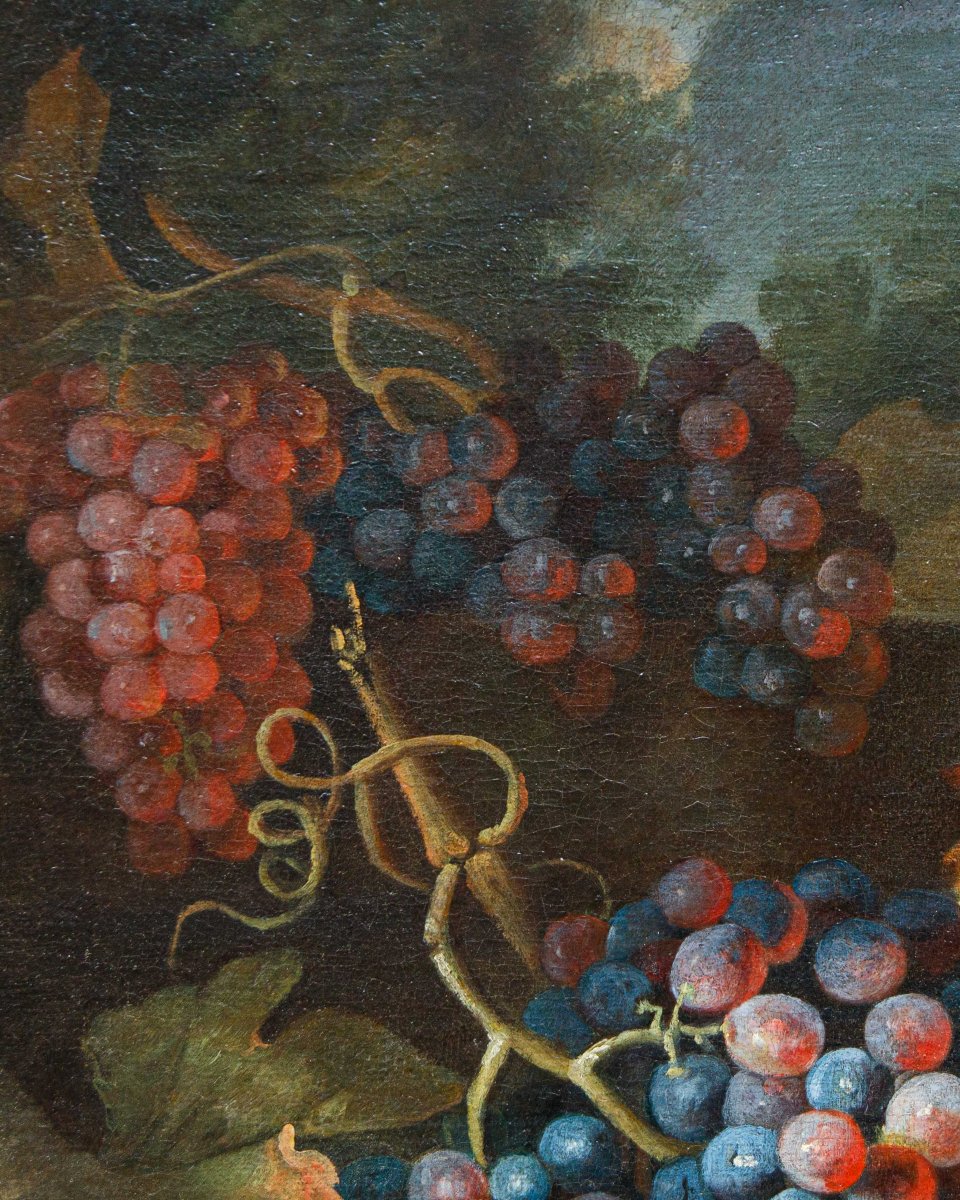 Maximilian Pfeiler (attivo dal 1683 - 1721 ca.), Natura morta con uve bianche e nere-photo-4