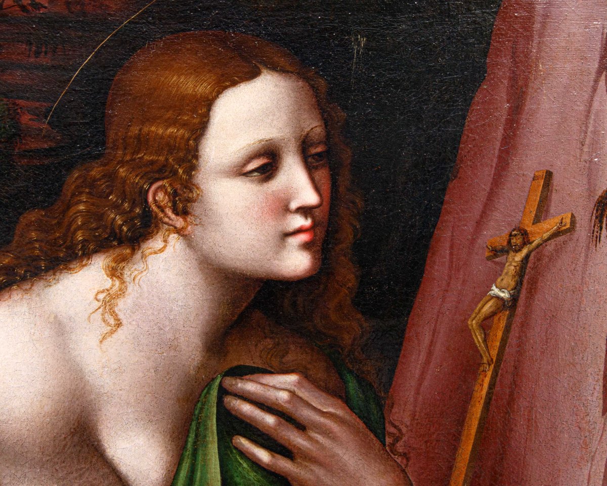 Pseudo Giampietrino B (Milano, III e V/VI decennio del sec. XVI), Maddalena penitente-photo-3