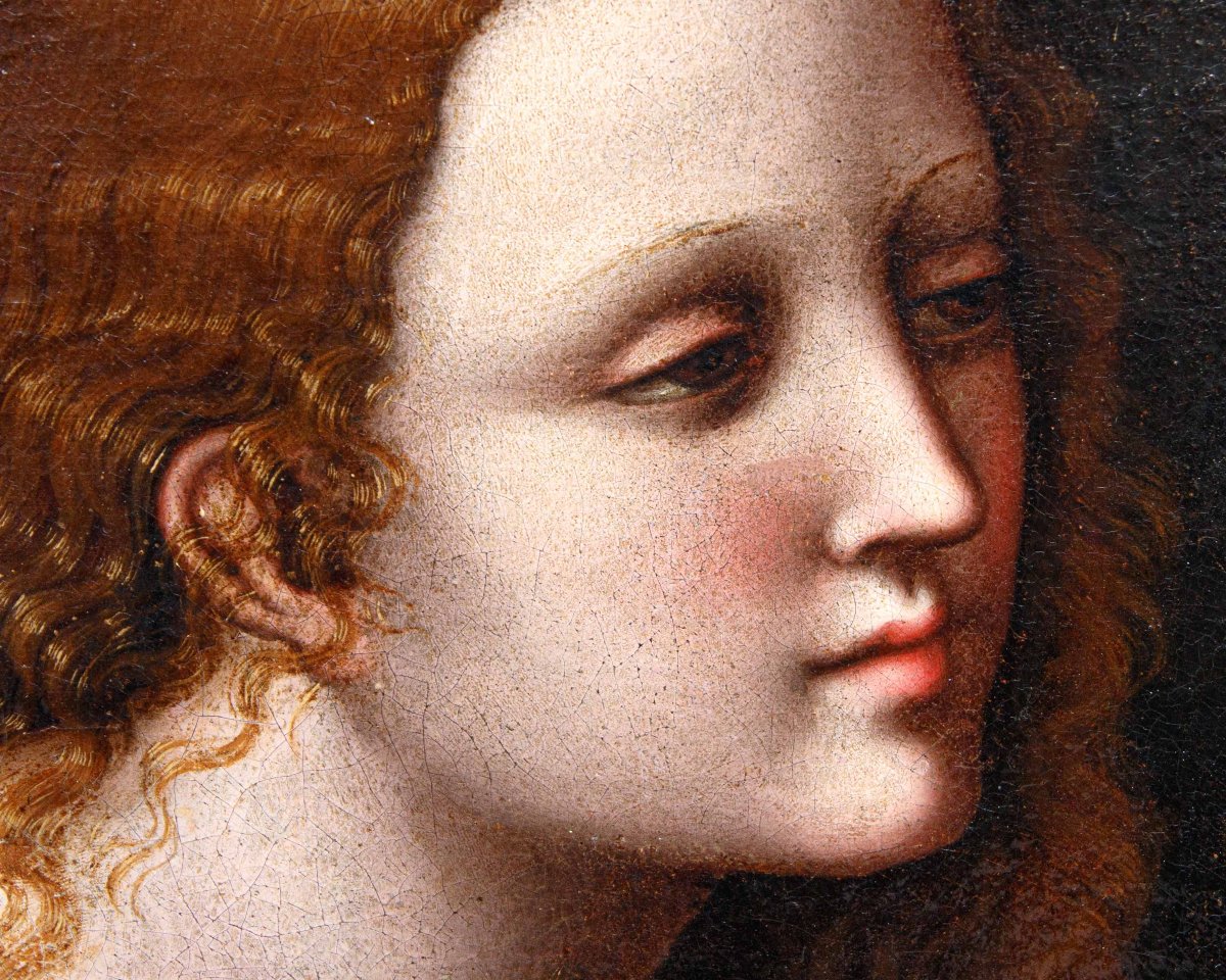Pseudo Giampietrino B (Milano, III e V/VI decennio del sec. XVI), Maddalena penitente-photo-4