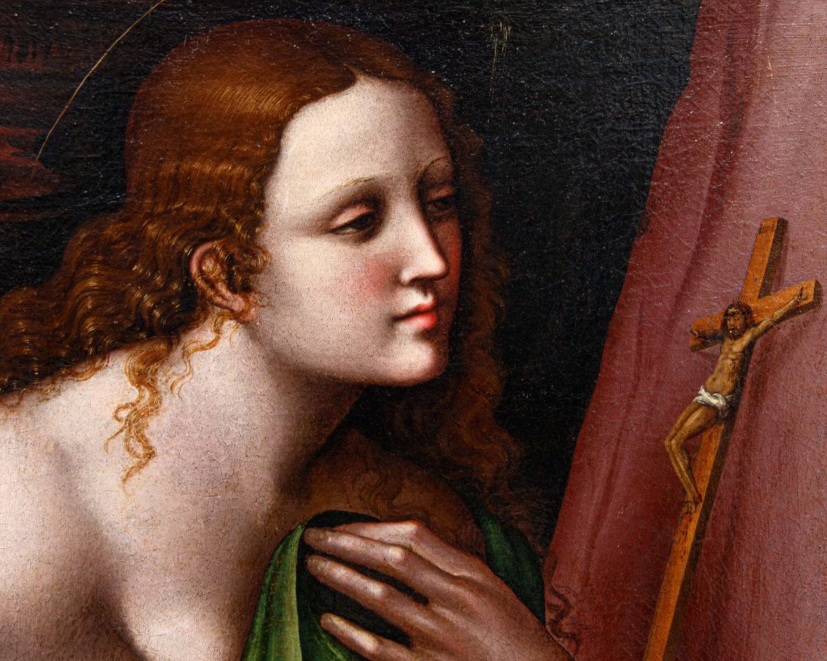 Pseudo Giampietrino B (Milano, III e V/VI decennio del sec. XVI), Maddalena penitente-photo-6
