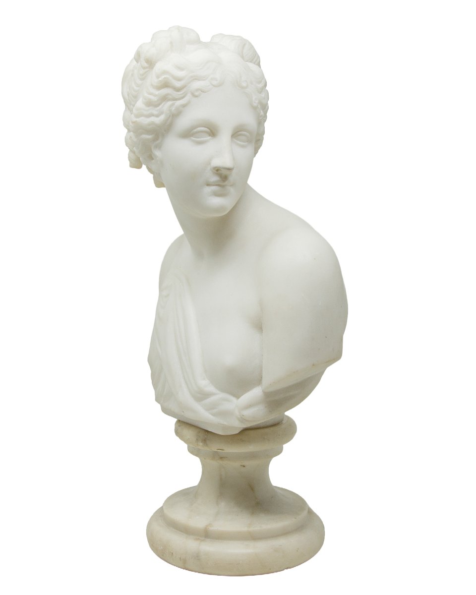 XIX secolo, Busto della Venere Italica-photo-2