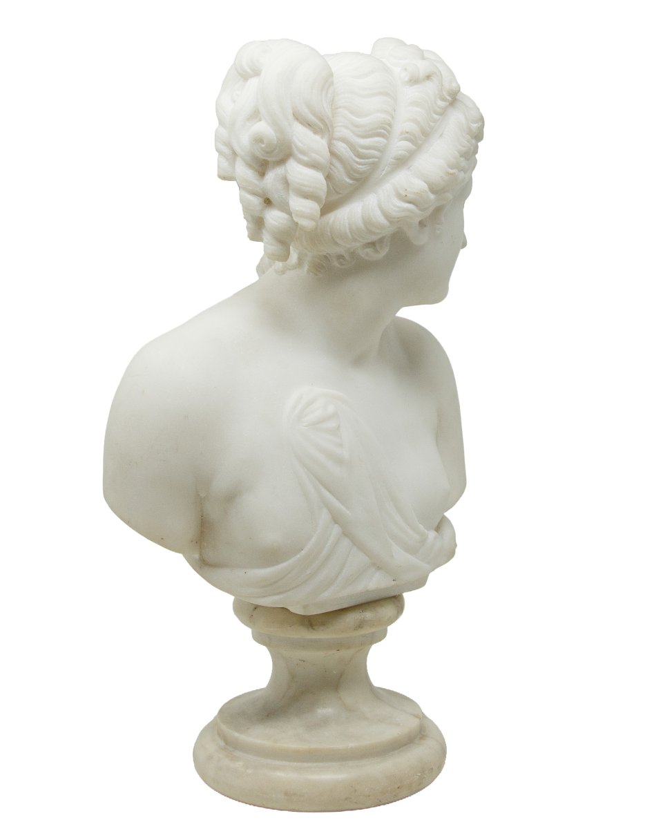 XIX secolo, Busto della Venere Italica-photo-3