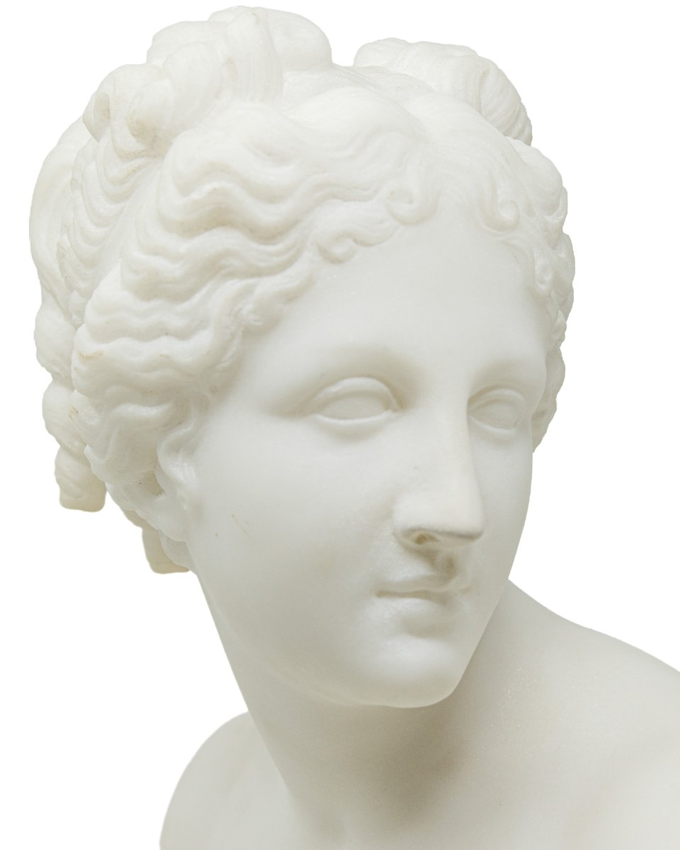 XIX secolo, Busto della Venere Italica-photo-4