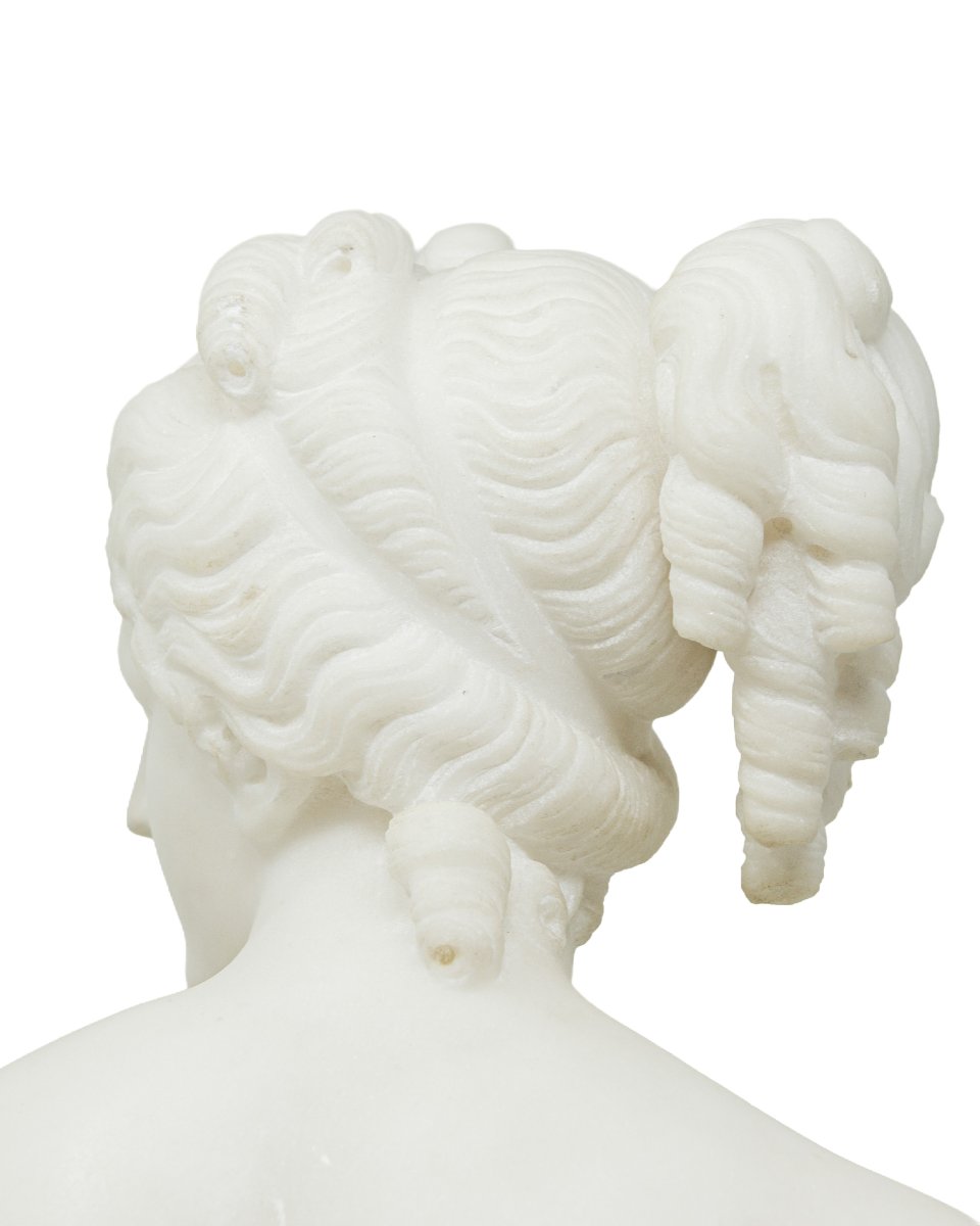 XIX secolo, Busto della Venere Italica-photo-3