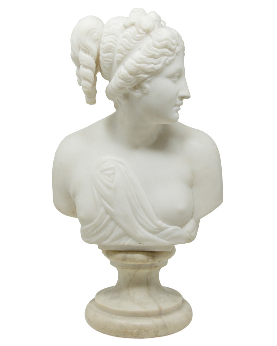 XIX secolo, Busto della Venere Italica