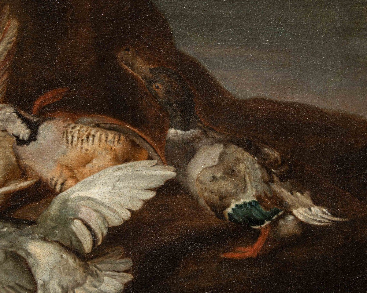 Attr. Jacobus Or Iacomo Victor (circa 1640 - 1705), natura morta di uccelli-photo-4