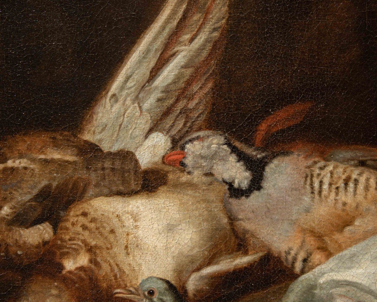 Attr. Jacobus Or Iacomo Victor (circa 1640 - 1705), natura morta di uccelli-photo-3
