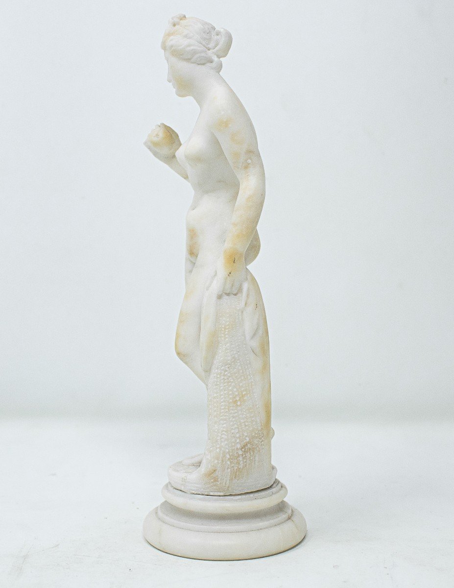 Venus avec la Pomme-photo-2