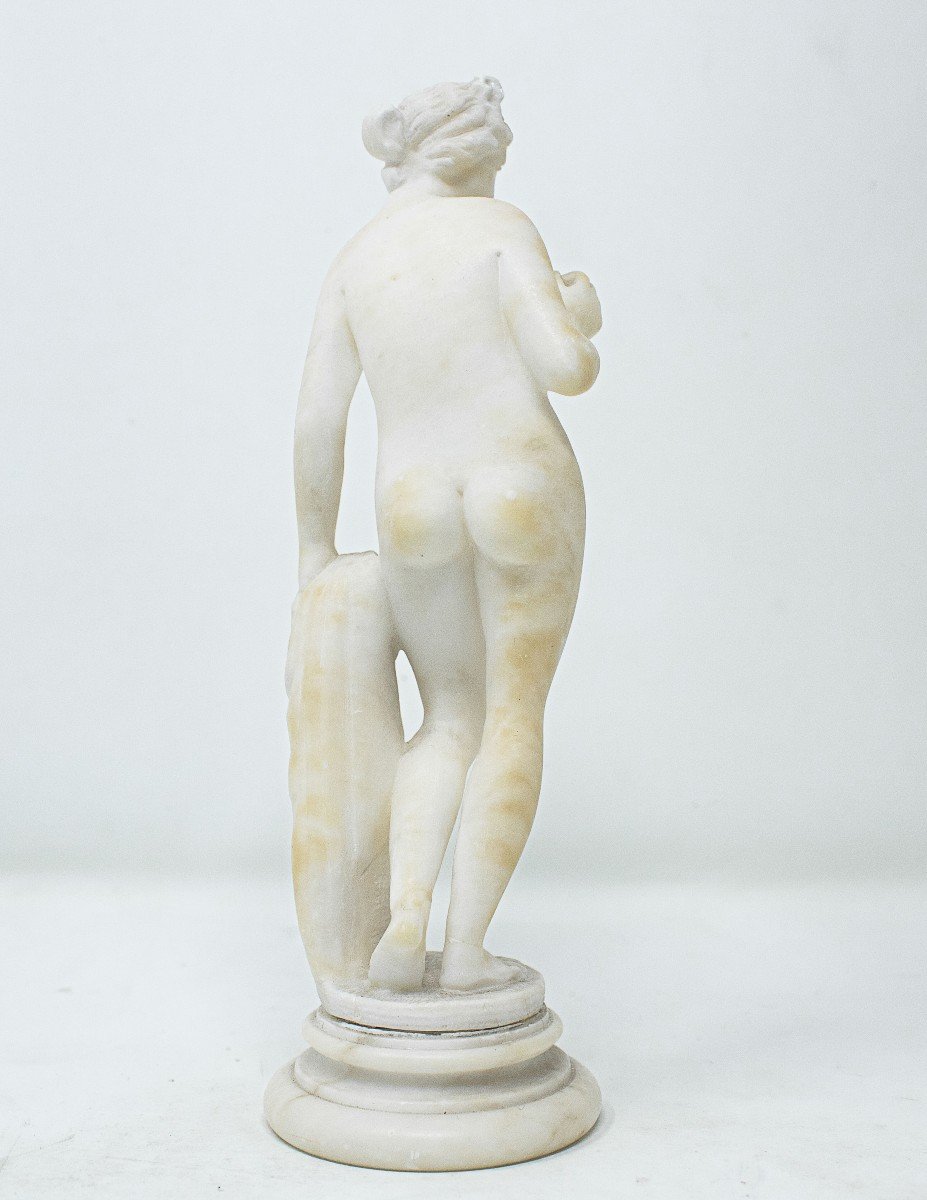 Venus avec la Pomme-photo-4