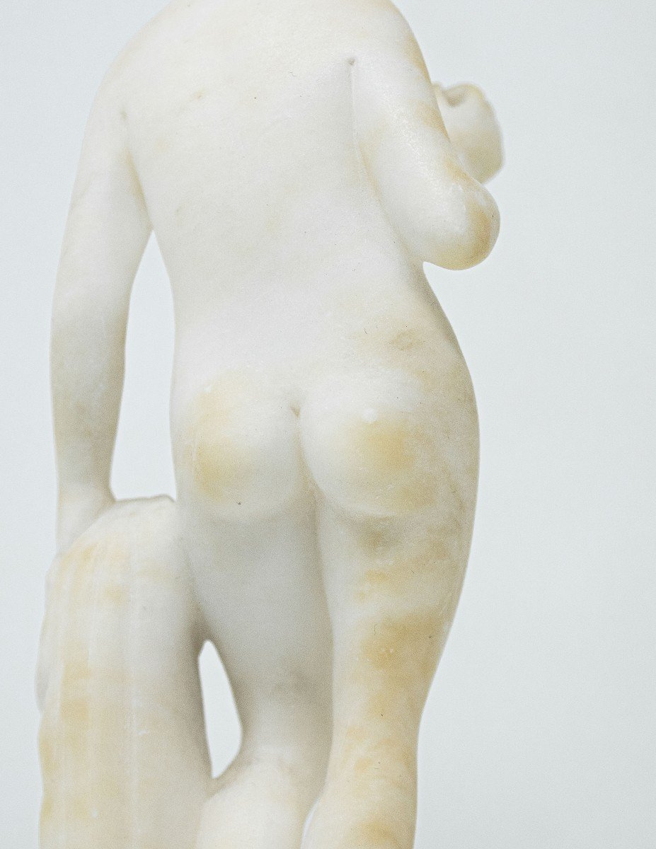 Venus avec la Pomme-photo-1