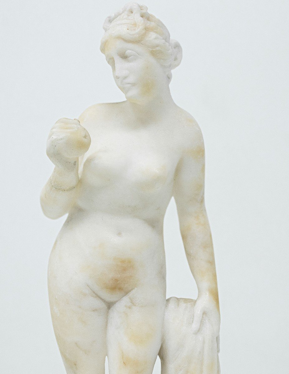 Venus avec la Pomme-photo-3