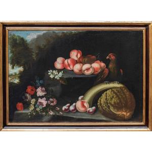 Felice Rubbiani (Modena, 1677 - San Pancrazio di Freto, 1752) attr, Natura morta con pappagallo