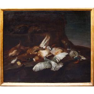 Attr. Jacobus o Iacomo Victor (Amsterdam 1640 ca. - 1705), Natura morta con uccelli