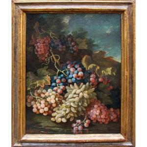 Maximilian Pfeiler (attivo dal 1683 - 1721 ca.), Natura morta con uve bianche e nere