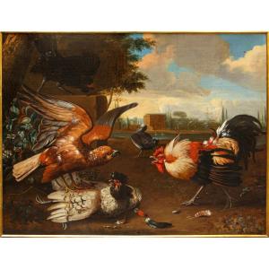 Seguace di Melchior de Hondecoeter (1636 – 1695), XVIII secolo, Un gallo difende una gallina