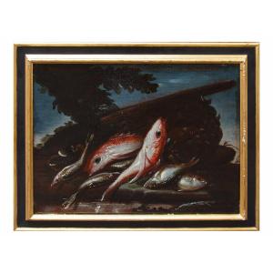 Elena Recco (Fine del XVII e l'inizio del XVIII secolo), Natura morte di pesci