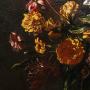 1838564-alb-6ad08453409bd.jpg
