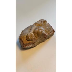 Marble Fragment-woman's Head-antique-roman-sculpture-archeology