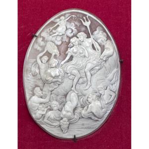 Carved Shell Cameo - Neptune And Marine Procession - Grand Tour Work, 19th Century .
