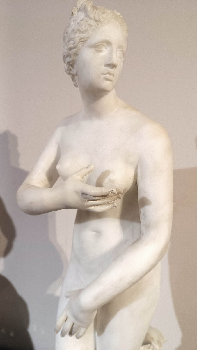 STATUETTA DELLA VENERE MEDICEA FINE DEL XVIII SECOLO -photo-7