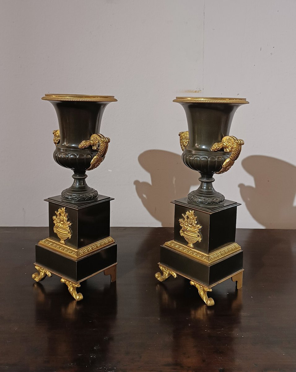 COPPIA DI VASI CARLO X PRIMA META’ XIX SECOLO-photo-3