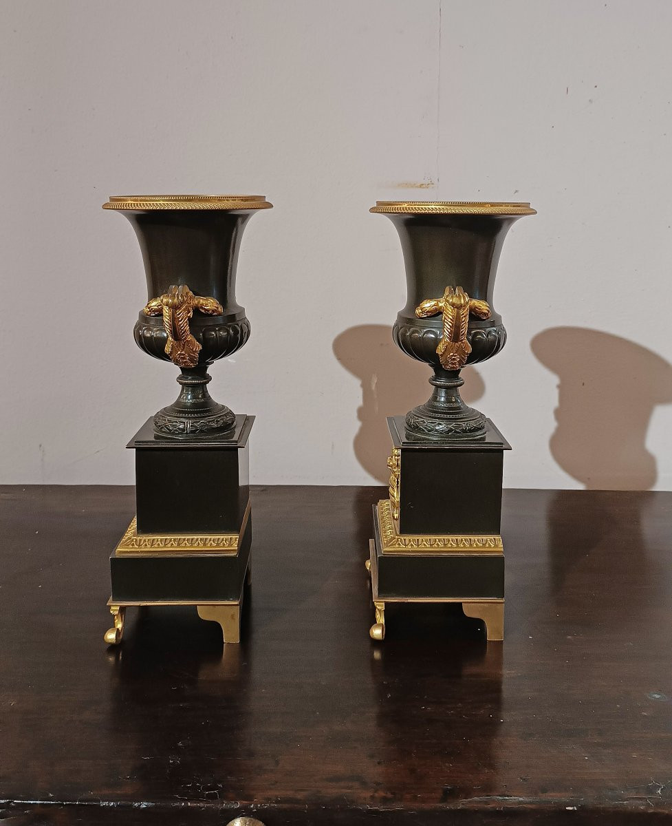 COPPIA DI VASI CARLO X PRIMA META’ XIX SECOLO-photo-4