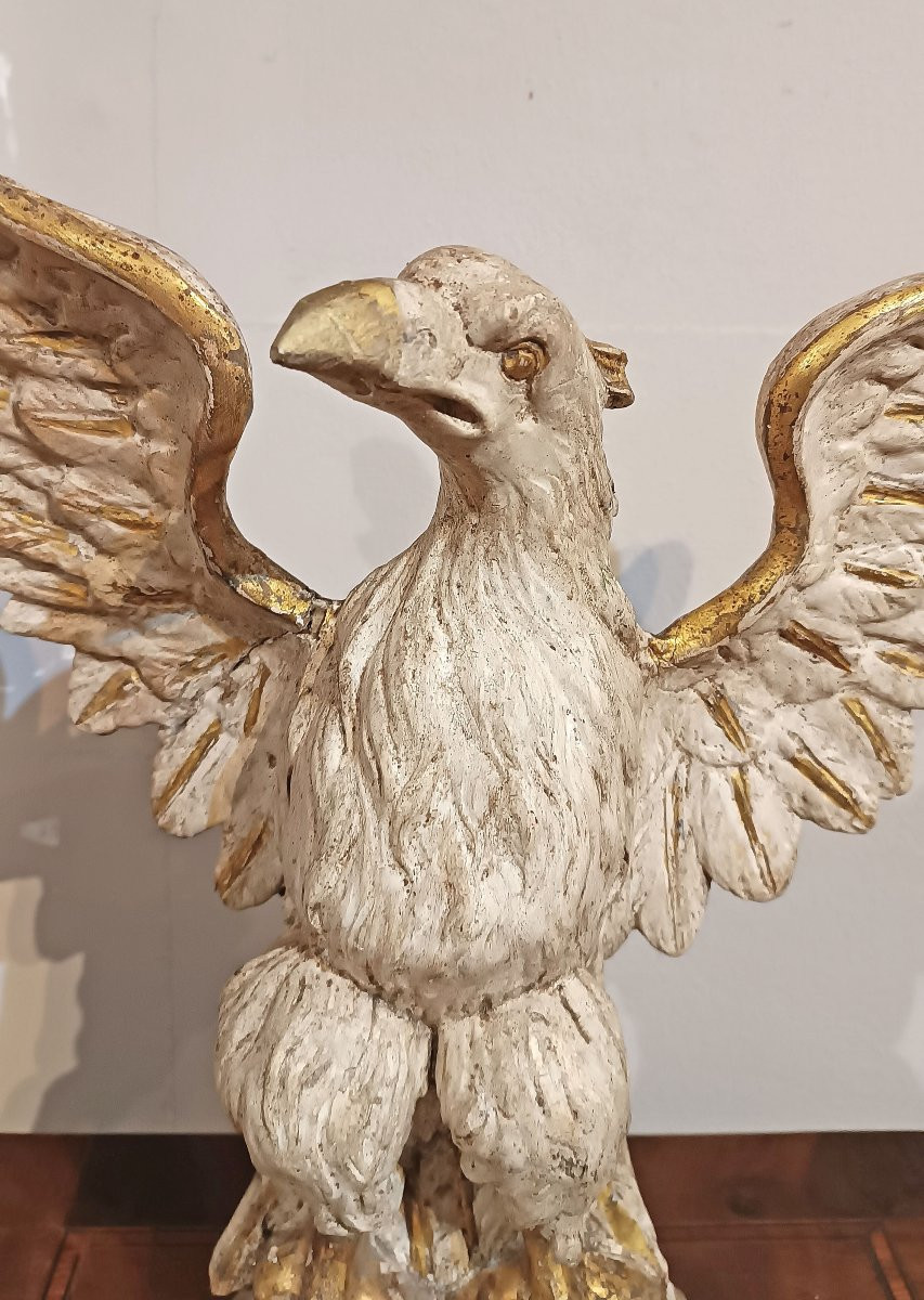 SCULTURA NEOCLASSICA DI AQUILA IN LEGNO DIPINTO FINE XVIII SECOLO-photo-3