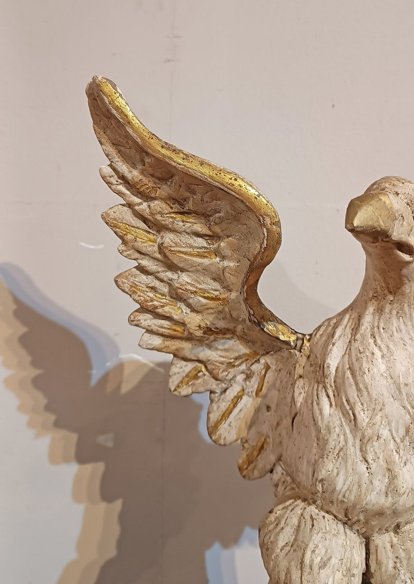 SCULTURA NEOCLASSICA DI AQUILA IN LEGNO DIPINTO FINE XVIII SECOLO-photo-4