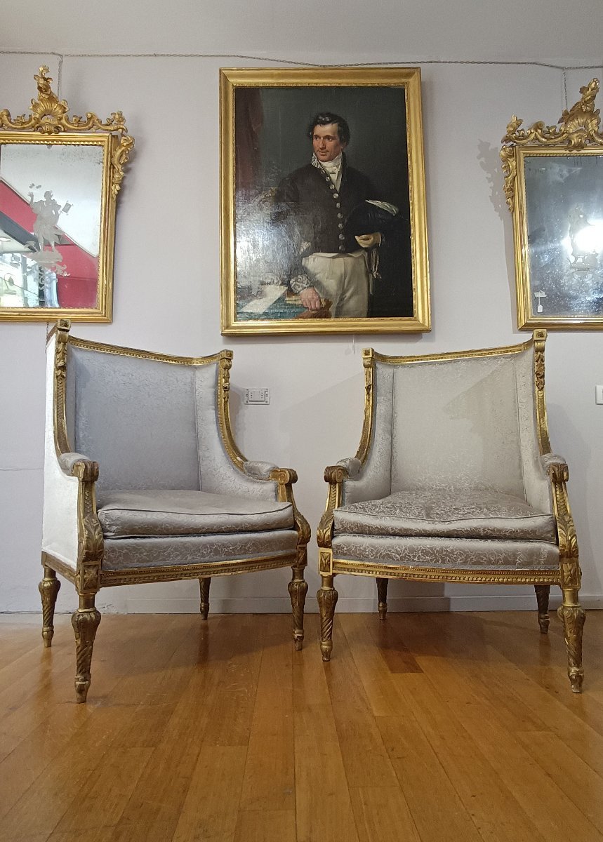 COPPIA DI POLTRONE BERGÈRE XIX SECOLO-photo-5