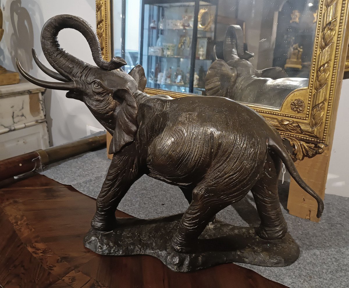 ELEFANTE IN BRONZO PRIMI XX SECOLO-photo-2