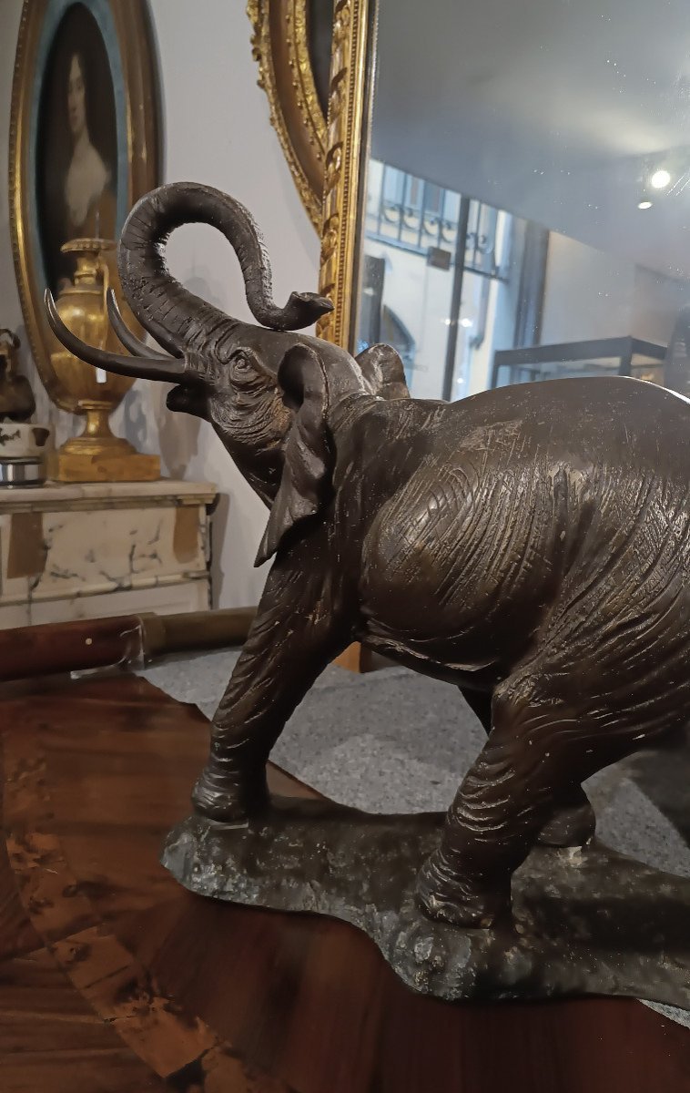 ELEFANTE IN BRONZO PRIMI XX SECOLO-photo-3