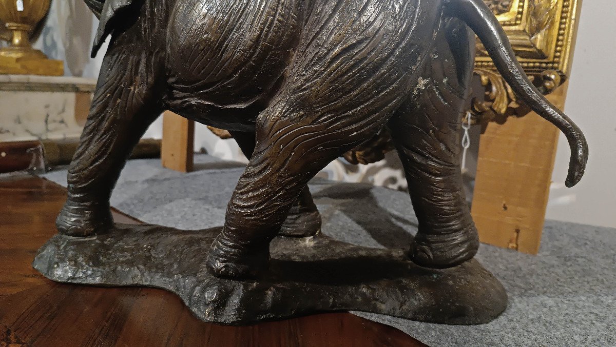 ELEFANTE IN BRONZO PRIMI XX SECOLO-photo-4