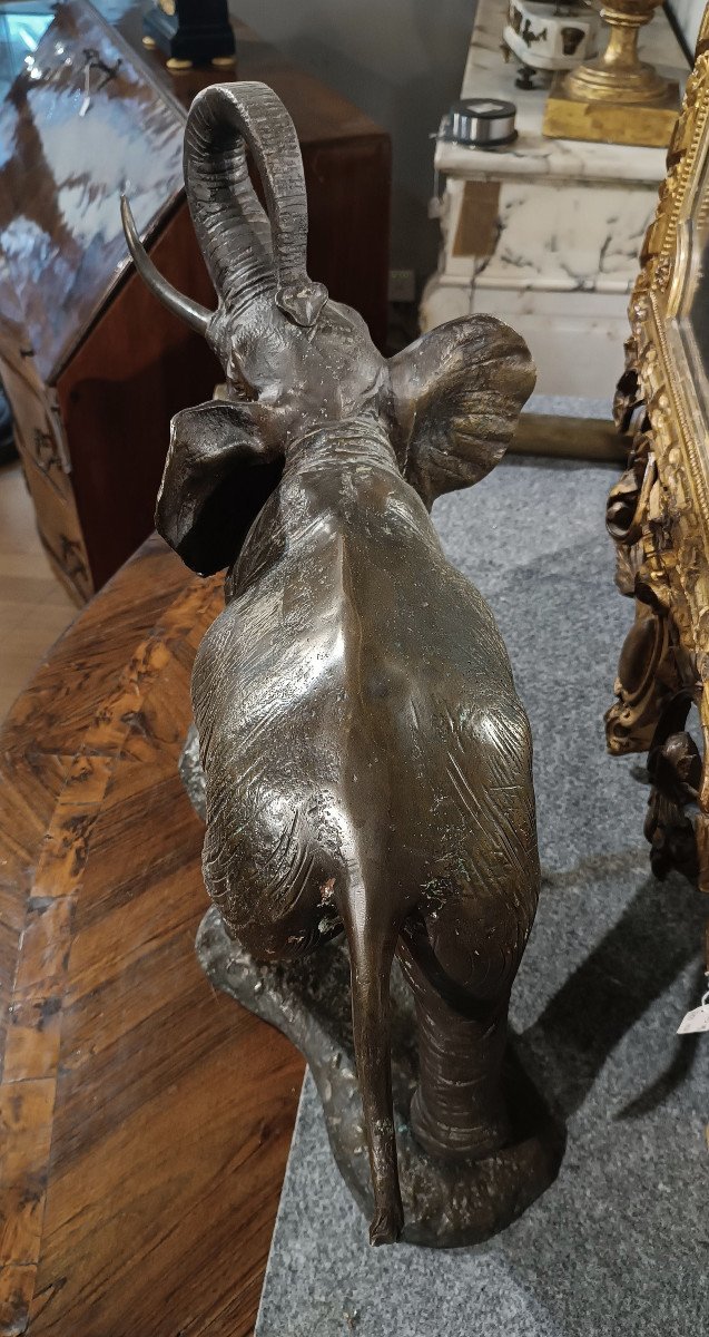 ELEFANTE IN BRONZO PRIMI XX SECOLO-photo-1
