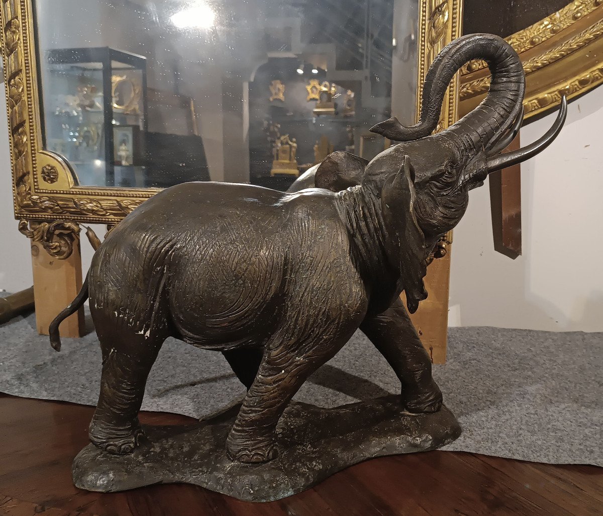 ELEFANTE IN BRONZO PRIMI XX SECOLO-photo-3