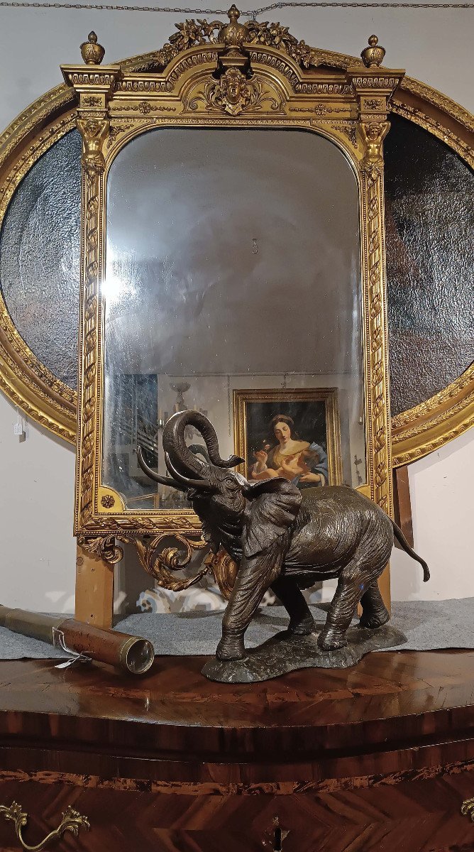 ELEFANTE IN BRONZO PRIMI XX SECOLO-photo-5